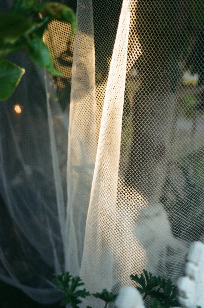 everyday-exotic-afternoon-light-net.jpg.jpg