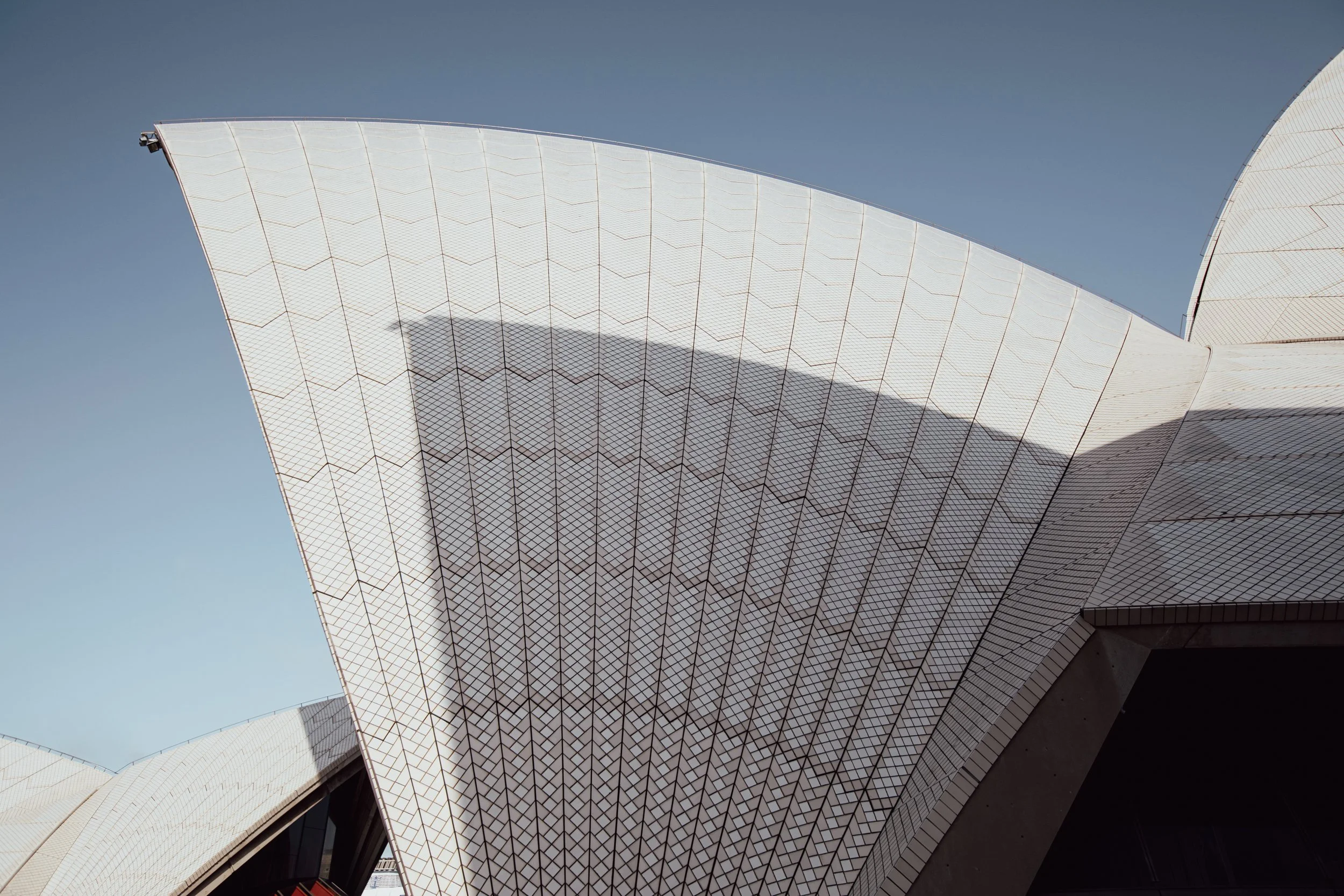SOH.056.jpg