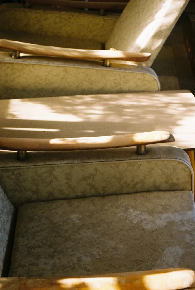 everyday-exotic-sunlight-chairs.jpg.jpg
