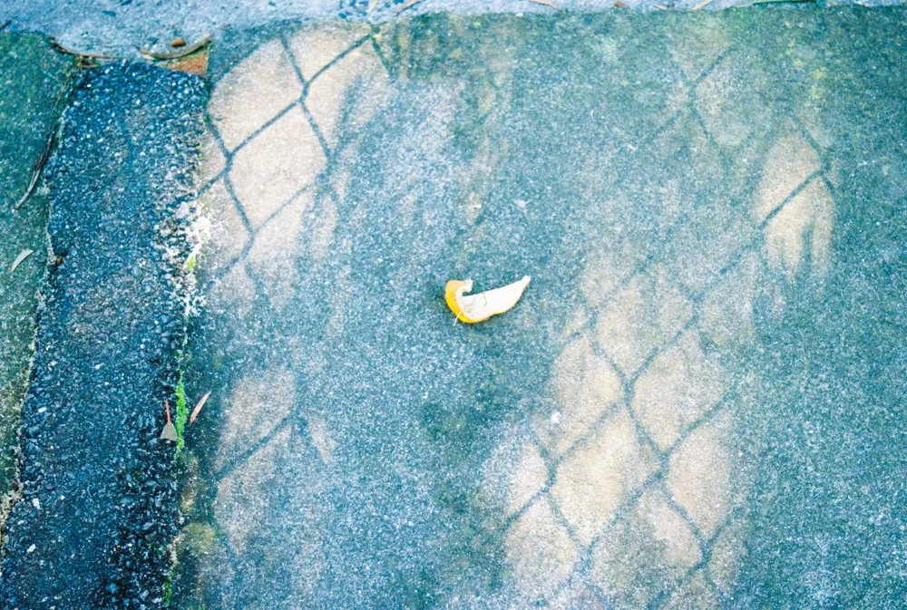 everyday-exotic-orange-peel-shadow.jpg.jpg