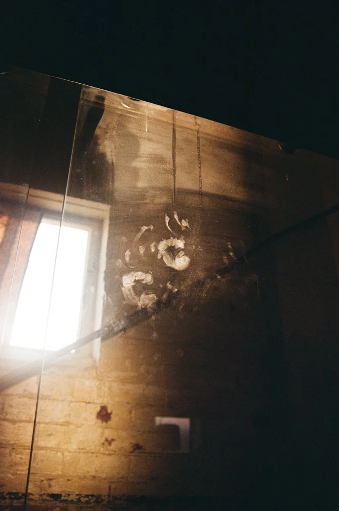everyday-exotic-handprints-on-glass.jpg.jpg