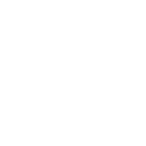 A black and white icon of an eye with radiating lines inside concentric circles.