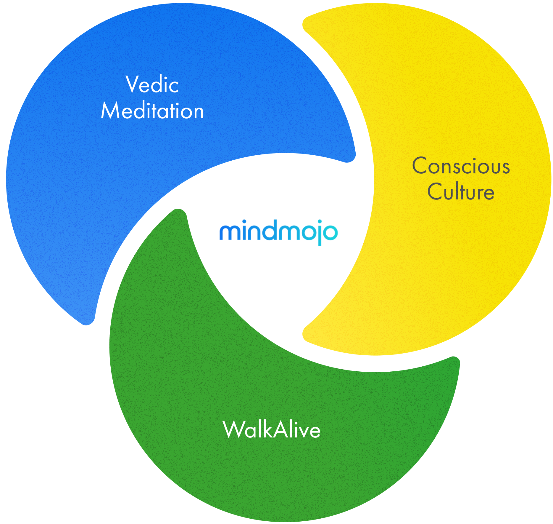Venn diagram with three overlapping circles labeled Vedic Meditation, Conscious Culture, and WalkAlive, with the center area labeled mindmojo.