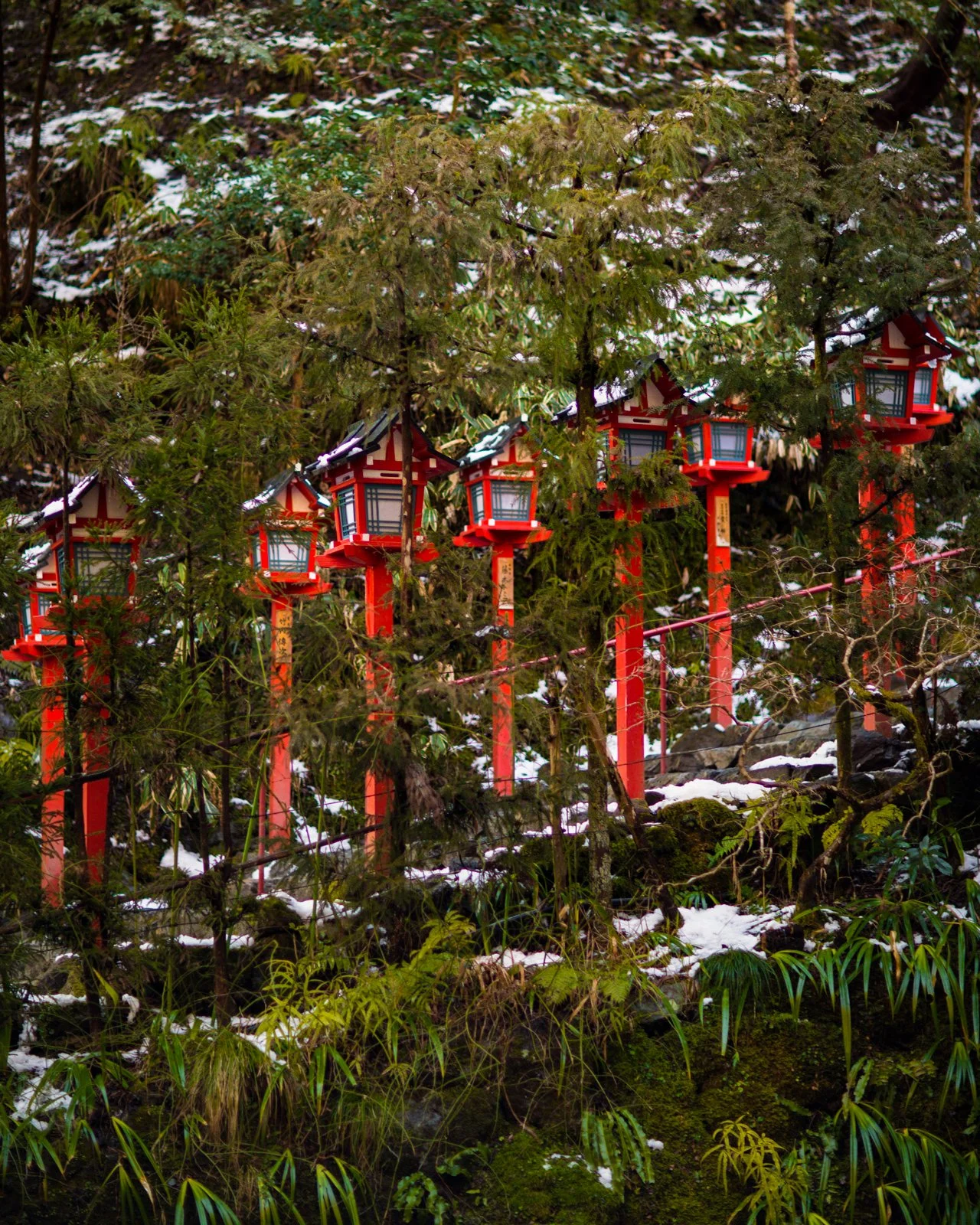 Kinsune-336A6499.jpg
