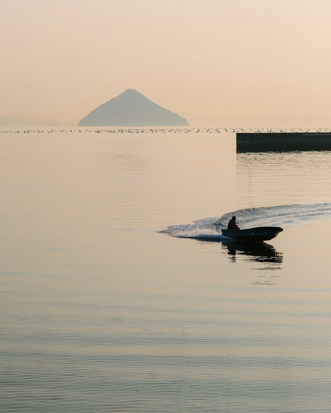 Naoshima-336A7182+2.jpg