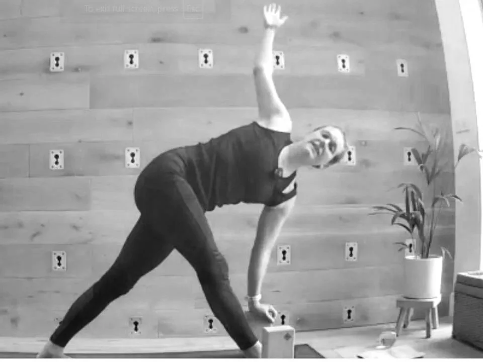 Zoom thumbnails (33).jpg