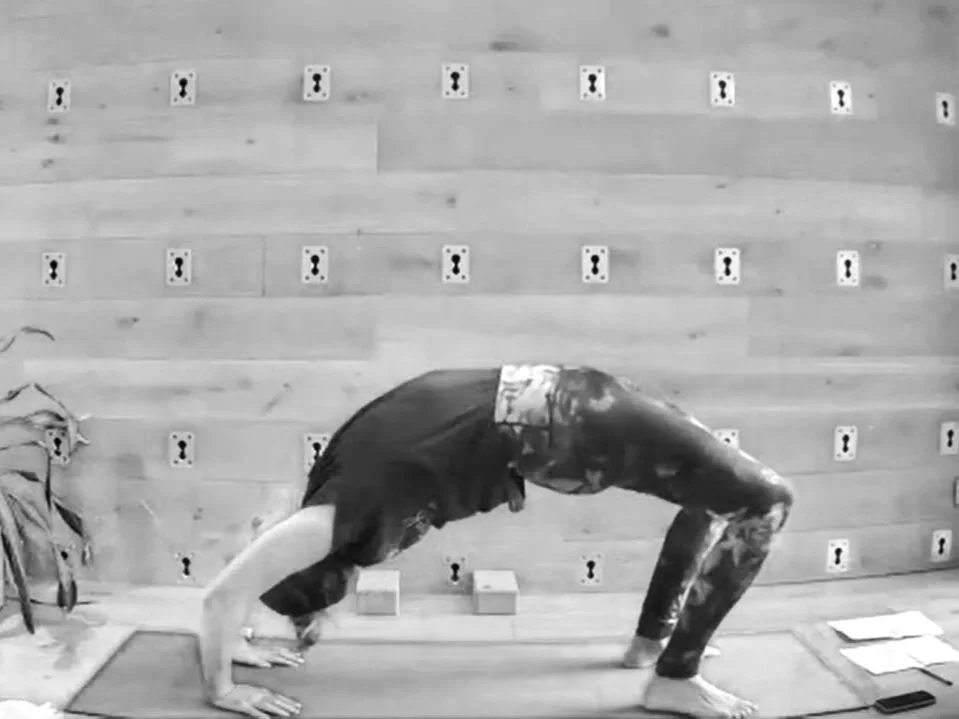 Zoom thumbnails (31).jpg