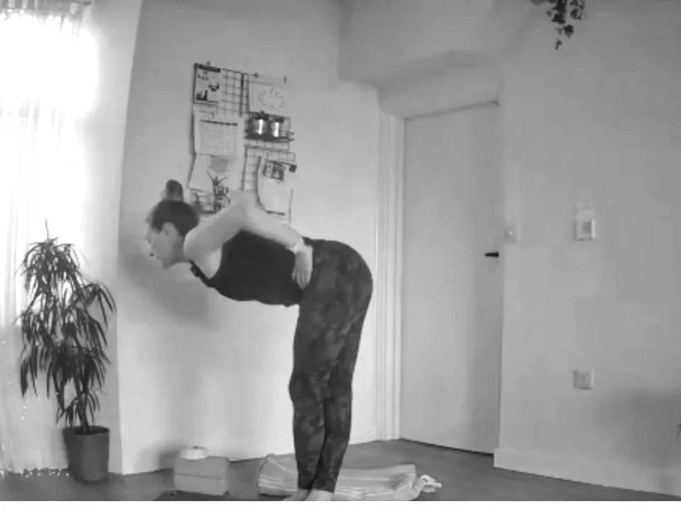 Zoom thumbnails (32).jpg