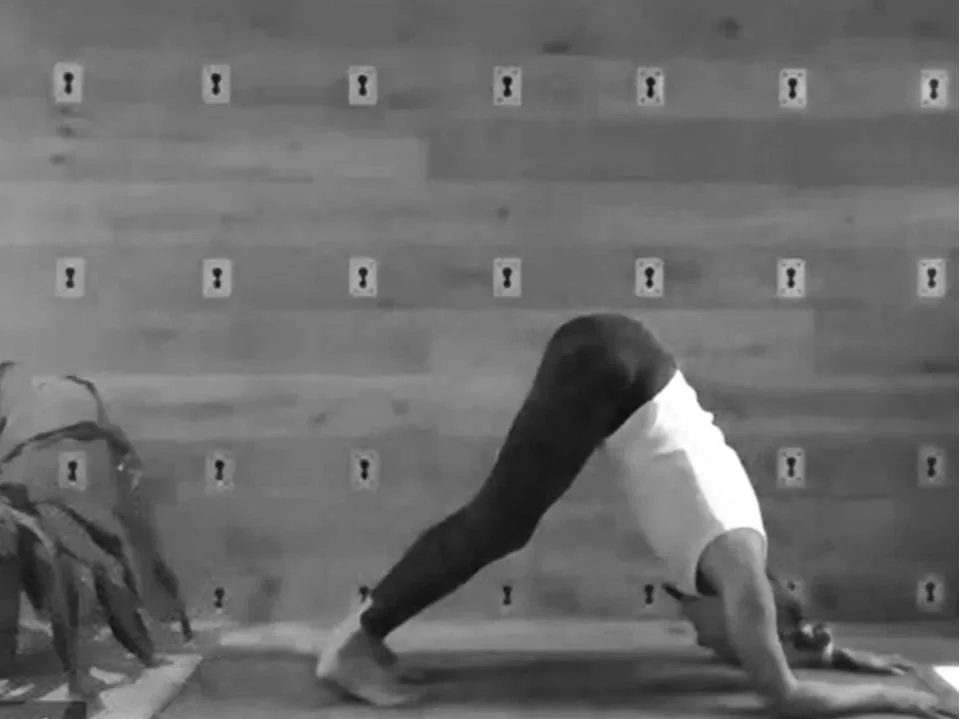 Zoom thumbnails (27).jpg