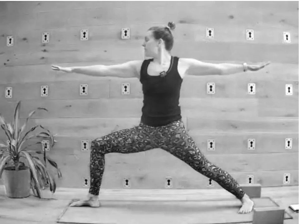 Zoom thumbnails (42).jpg