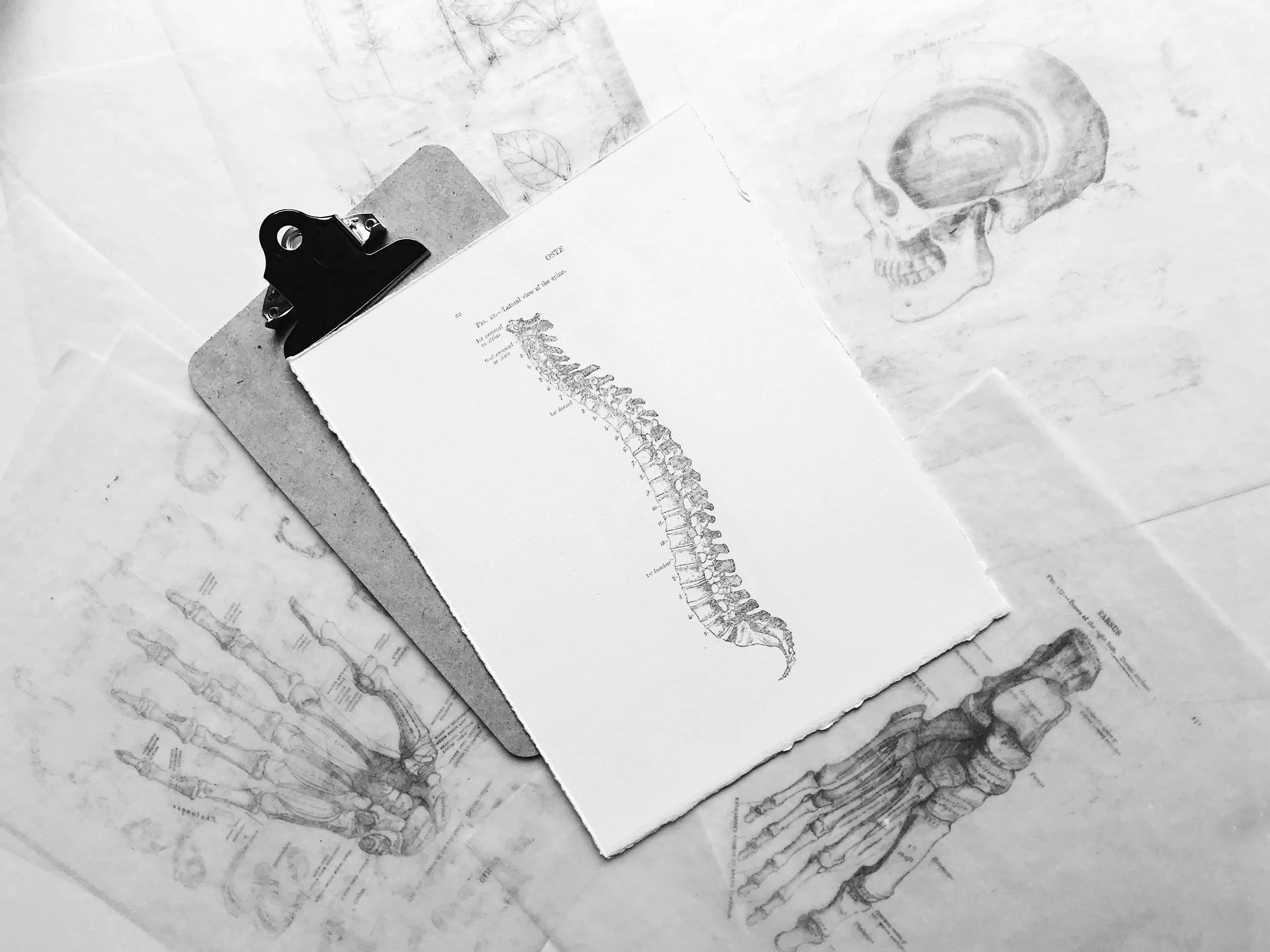 joyce-hankins-IG96K_HiDk0-unsplash (1).jpg