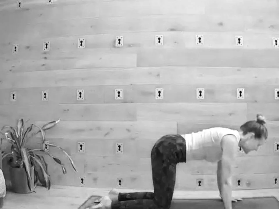 Zoom thumbnails (34).jpg