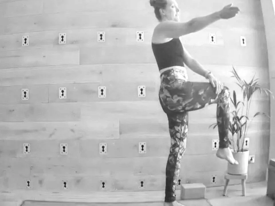 Zoom thumbnails (34).jpg