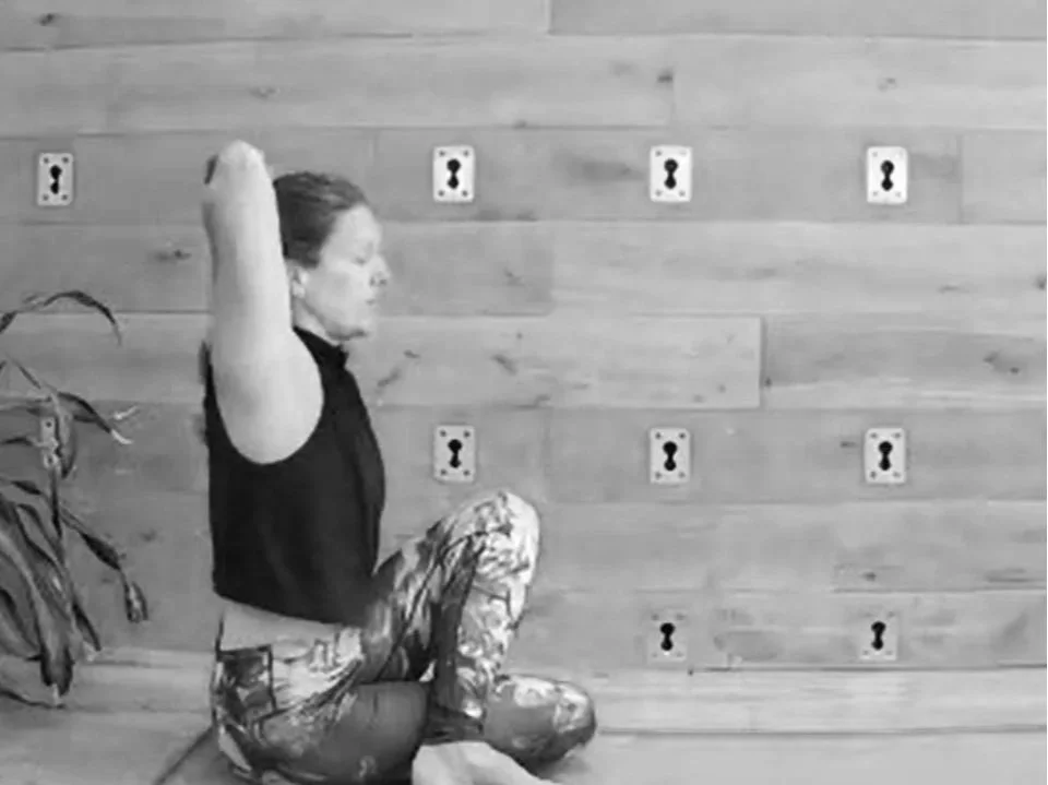 Zoom thumbnails (40).jpg