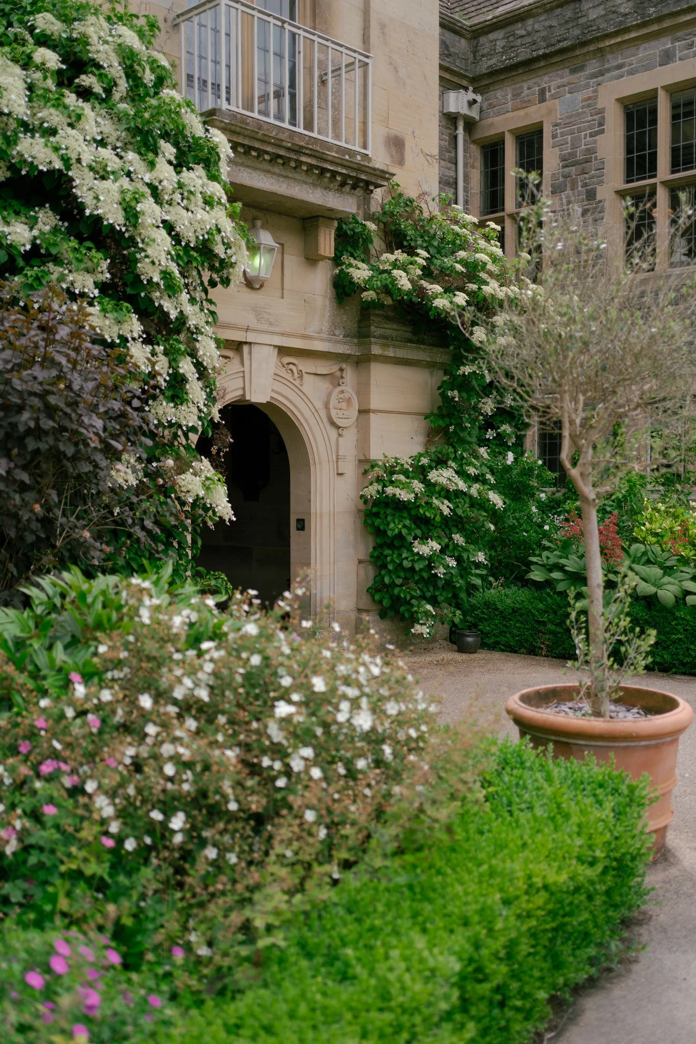 Entrance flowers and plants at Llangoed Hall in Wales