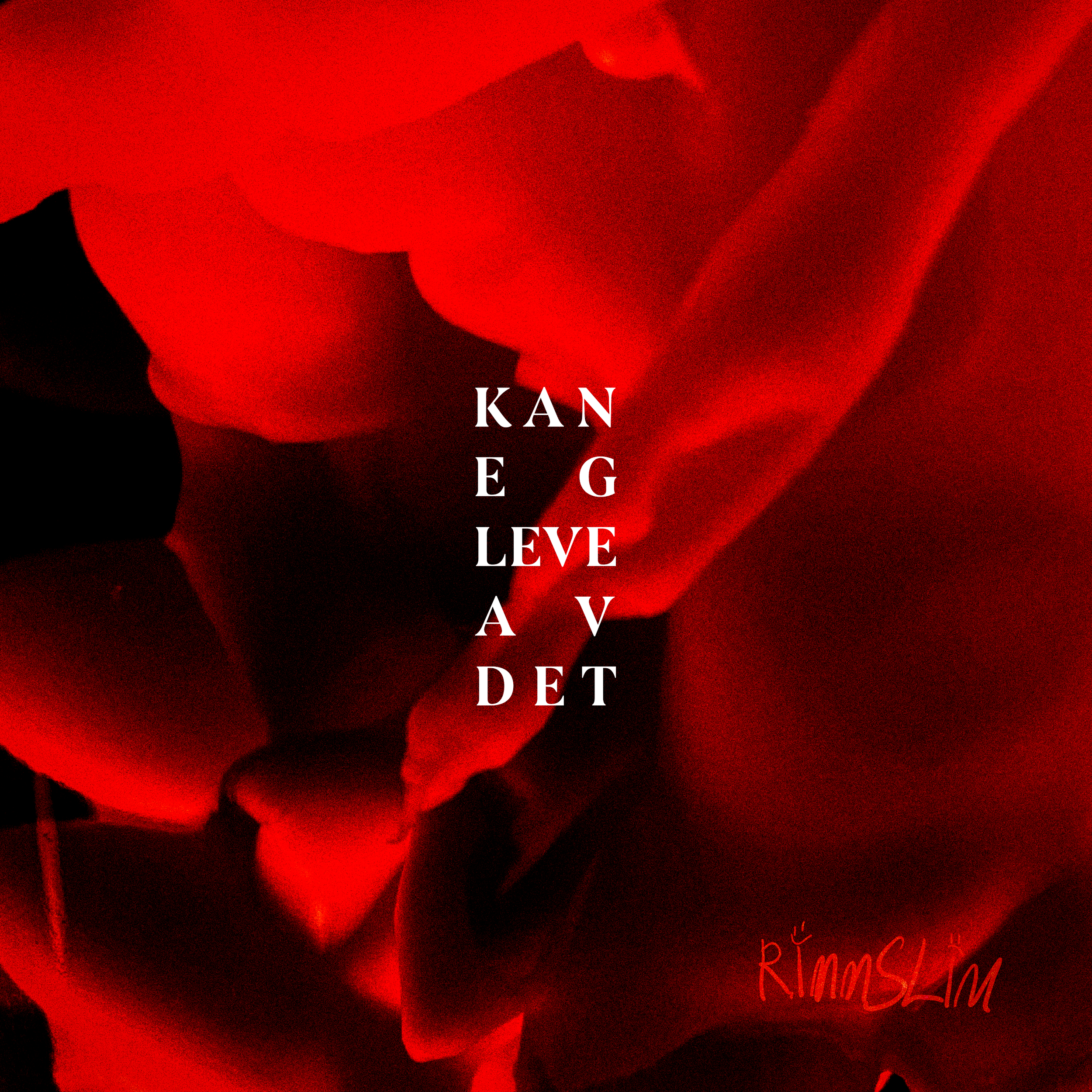 KanEgLeveAvDet COVER FINAL.png