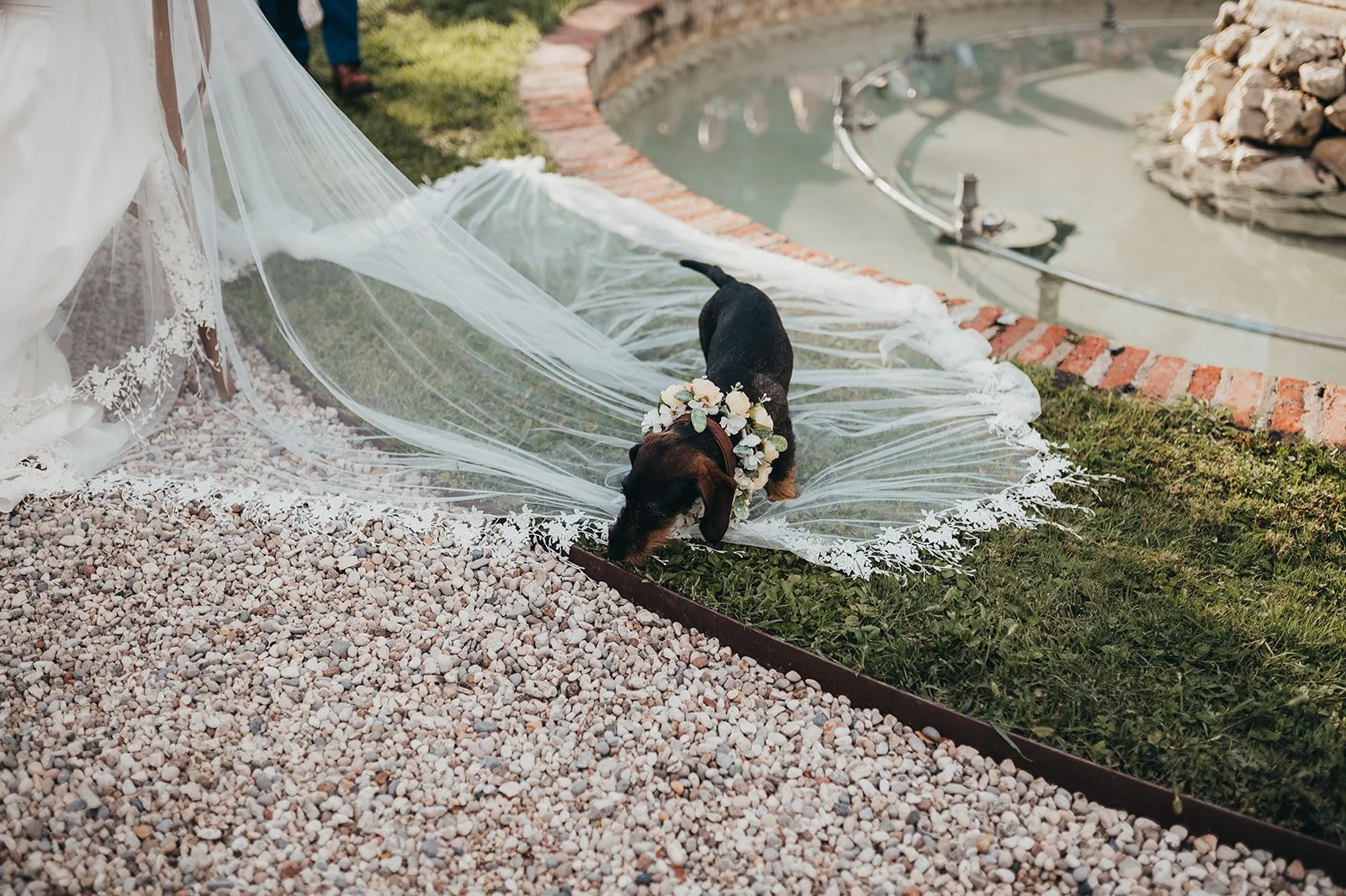 Beautiful bride Luisa wore the Okotan Corset, Ellie skirt and Palm veil | Wedding dress by Halfpenny London