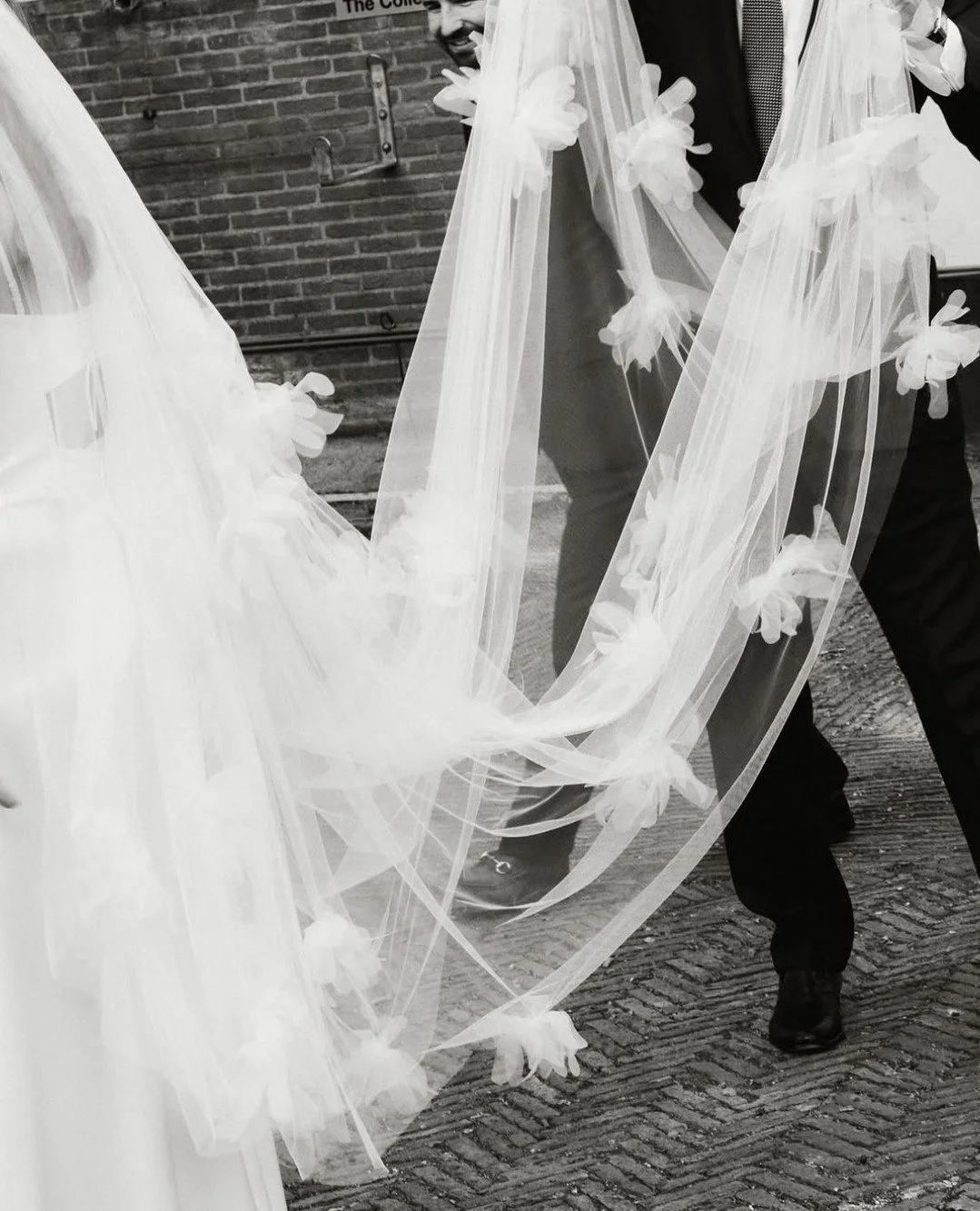 The Dandelion veil, as worn by our Halfpenny London brides.⁠
⁠
Light, romantic and full of movement, this veil has become a signature finishing touch, each bride bringing her own story to the piece. ⁠
⁠
Photography: @rebeca__vals @nigeljohn_com @thes