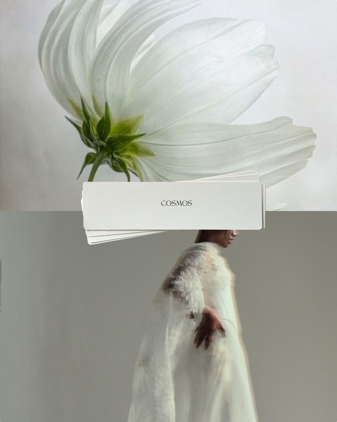 Cosmos. Echinacea. Hellebores. Three flowers, quietly observed, now translated into form. Not as decoration, but as emotion.⁠
⁠
Discover &lsquo;Give Them Their Flowers Now&rsquo; via the link in bio.