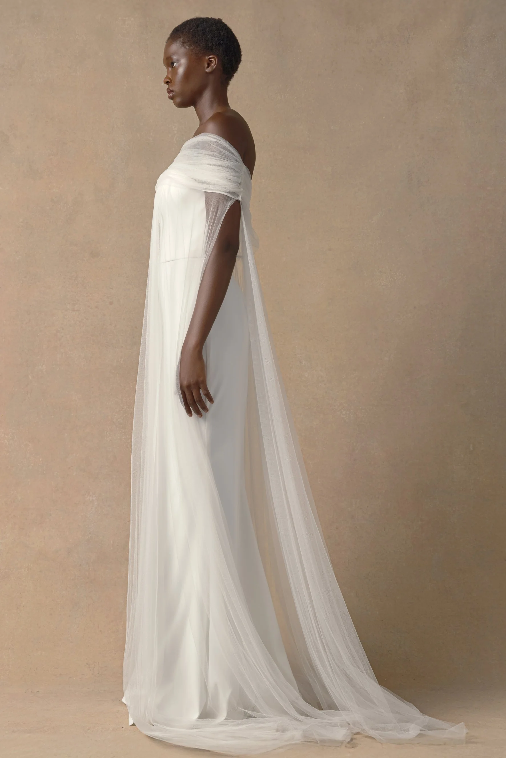MANET CAPE_OLIVER DRESS_SIDE.jpg