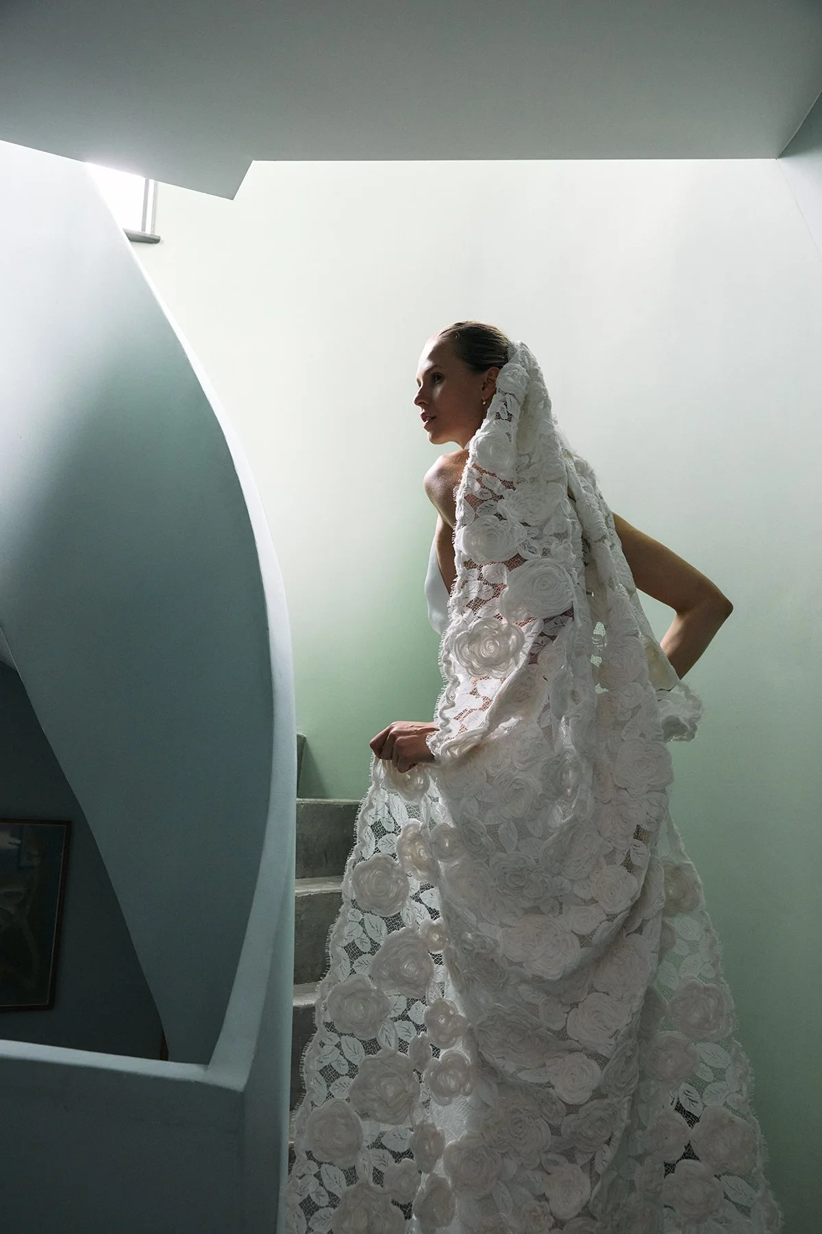 Daphne Dress & Amanda Veil