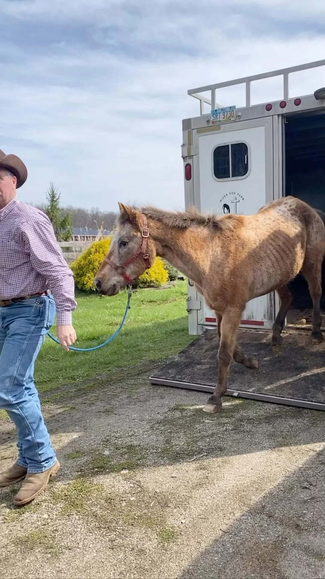 Gallery — The Gifted Equine