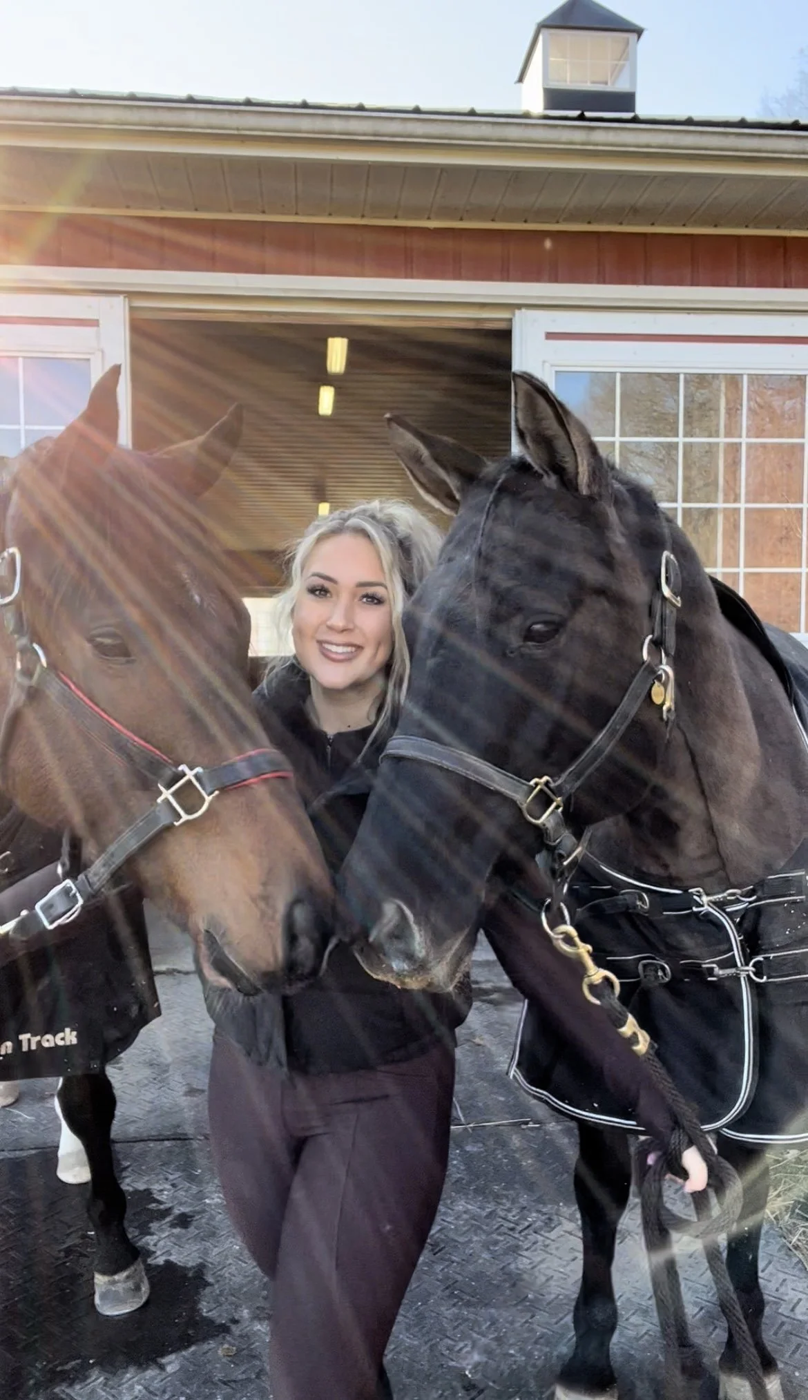 About Us — The Gifted Equine