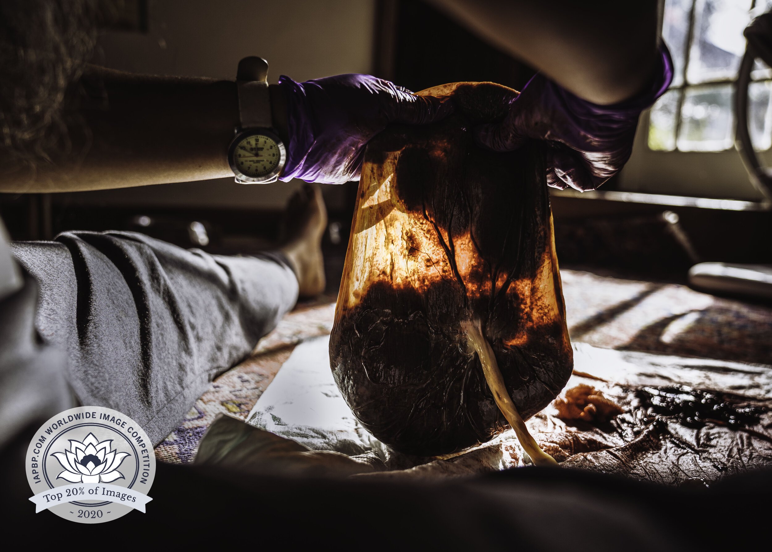 PLACENTAS AND A GODDESS: THE INTERNATIONAL ASSOCIATION OF PROFESSIONAL BIRTH PHOTOGRAPHERS’ 2020 COMPETITION