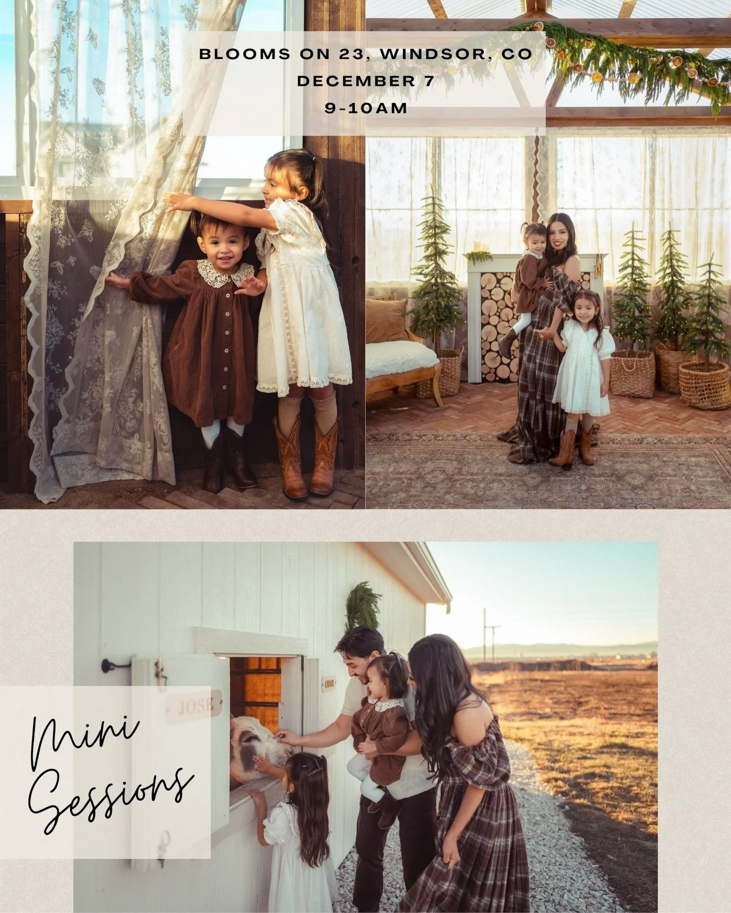 I&rsquo;ll be at Blooms on 23 in Windsor next Saturday, December 7th from 9&ndash;10am, and this greenhouse setup is pure magic &mdash; warm light, cozy textures, and the sweetest holiday vibe without feeling overly staged.
If you&rsquo;ve been wanti