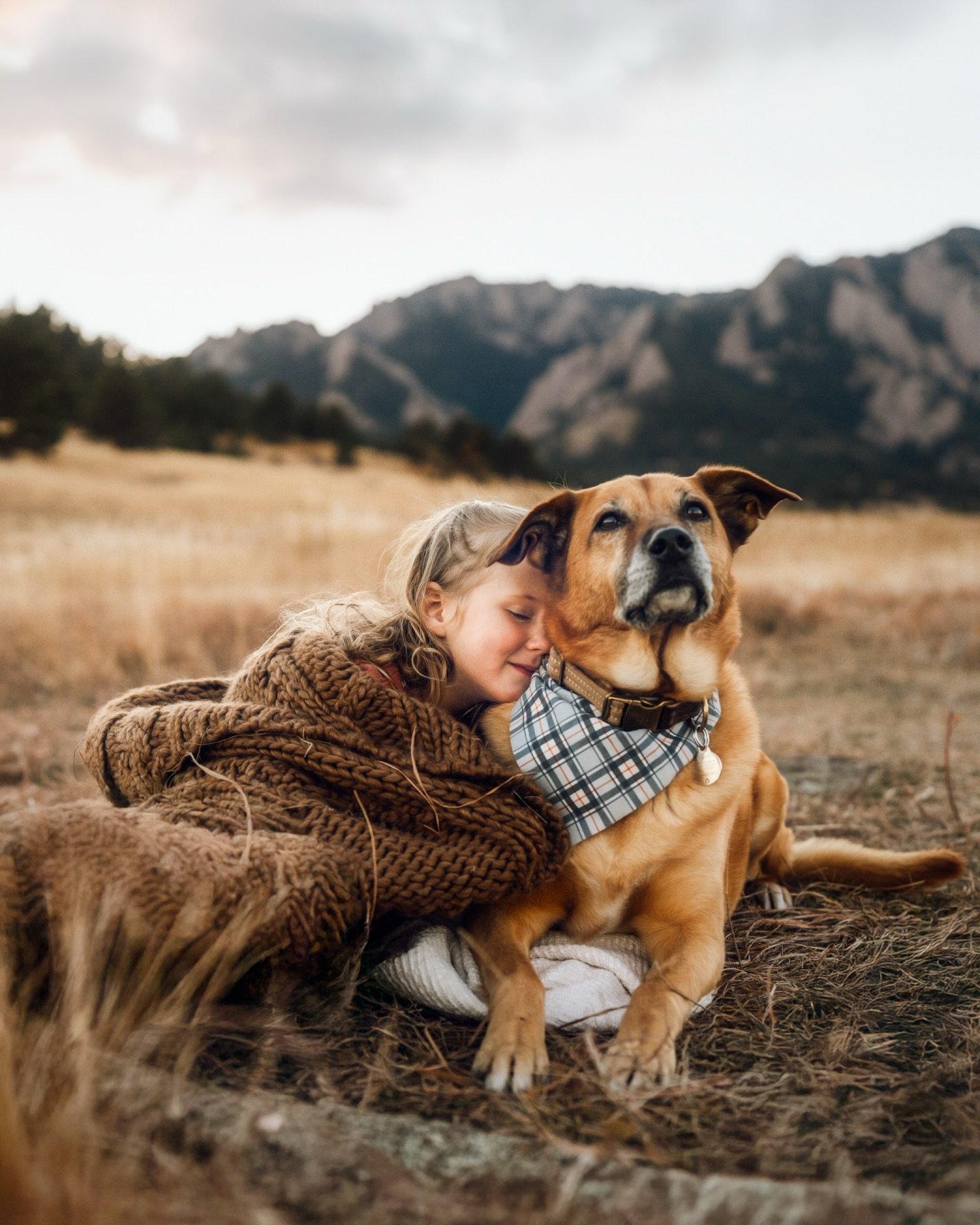 2025 was all about the doggos. 

2026 predictions? 

#boulderphotographer #boulderfamilyphotographer #denverfamilyphotographer #boulderdogs #clickproelite