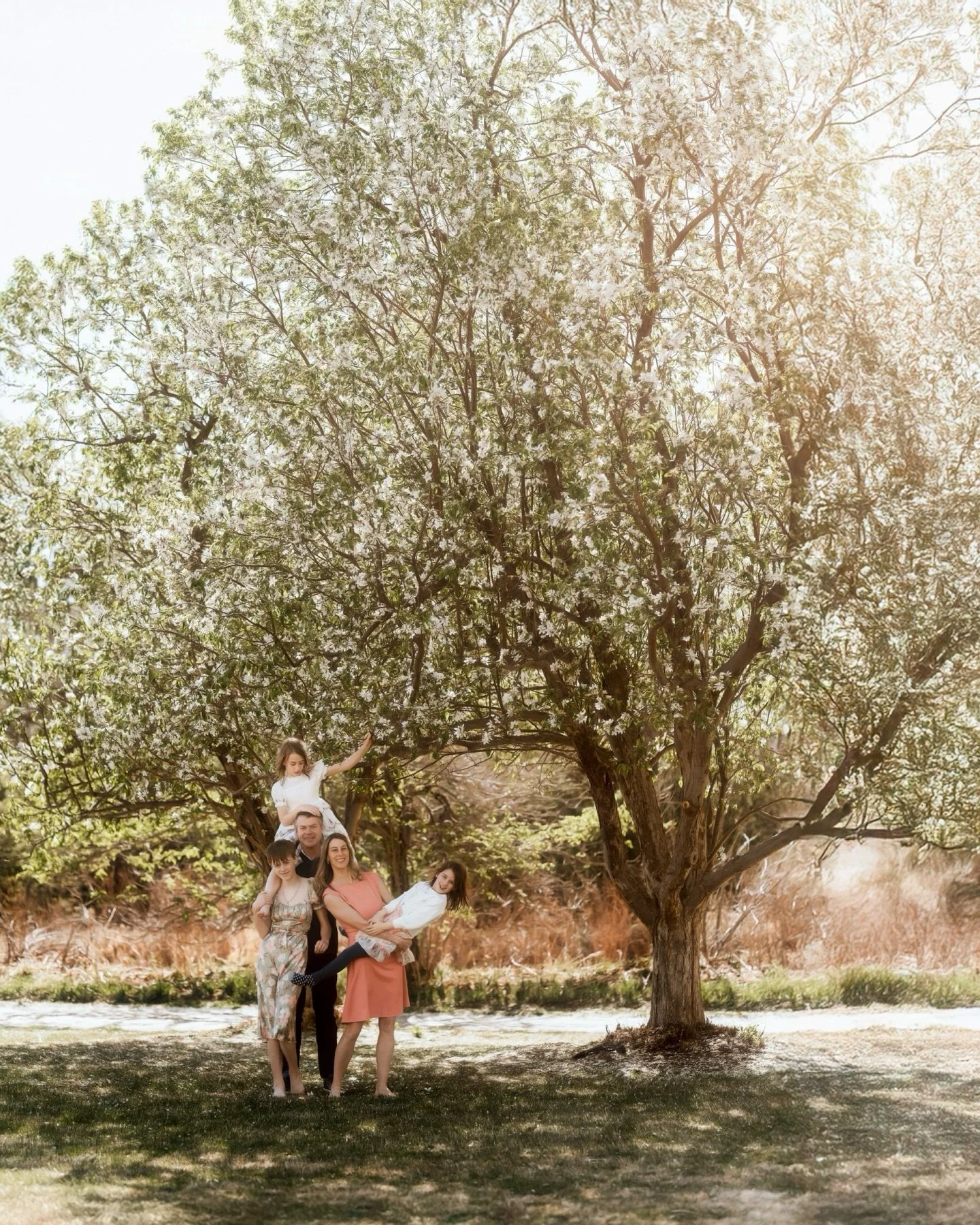 More light. 
The glow, the haze, the mess, the brightness. 
The honesty. 

We&rsquo;ve got some battles this year. Bring it on.

#boulderfamilyphotographer
#coloradofamilyphotographer
#louisvillecolorado
#denverfamilyphotographer
#bouldermaternitypho