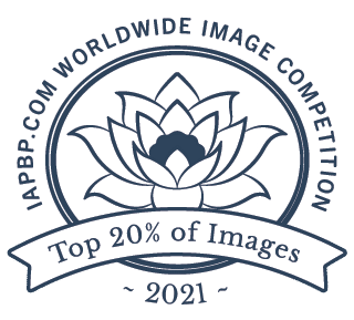IAPBP 2021: Top 20% of Images