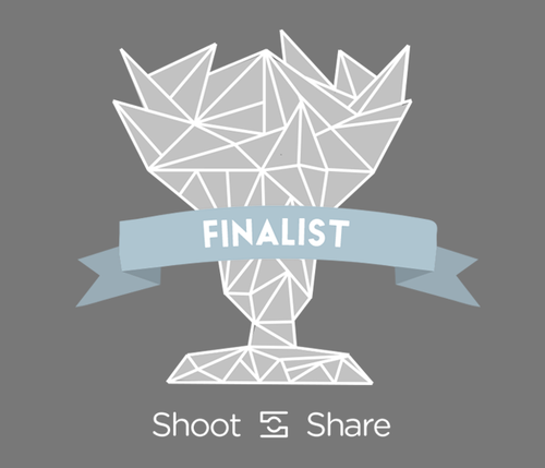Finalist in Shoot & Share