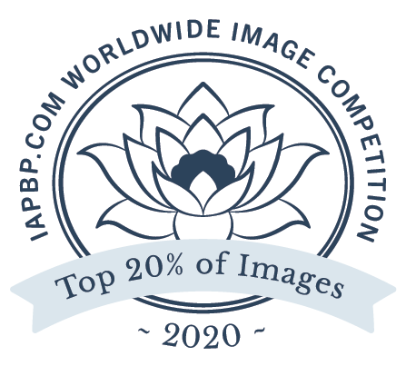 IAPBP Top 20% in 2020