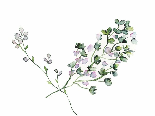 Pretty Pastel Florals.jpg