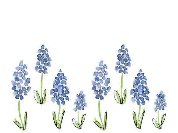 Hyacinth Blues.jpg