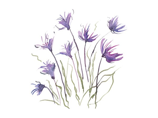 Mauve Flowers in the Midst.jpg