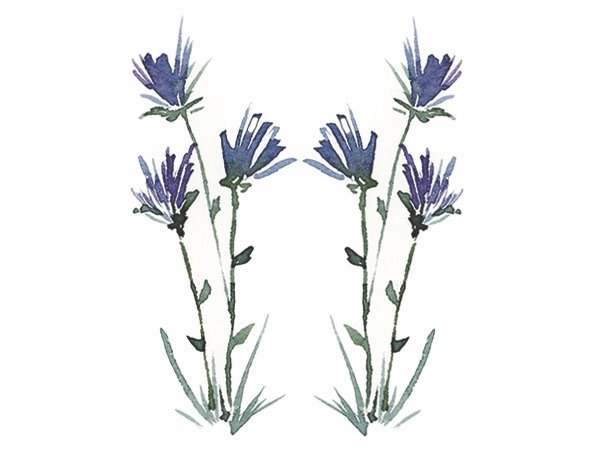 two flower mirrored.jpg