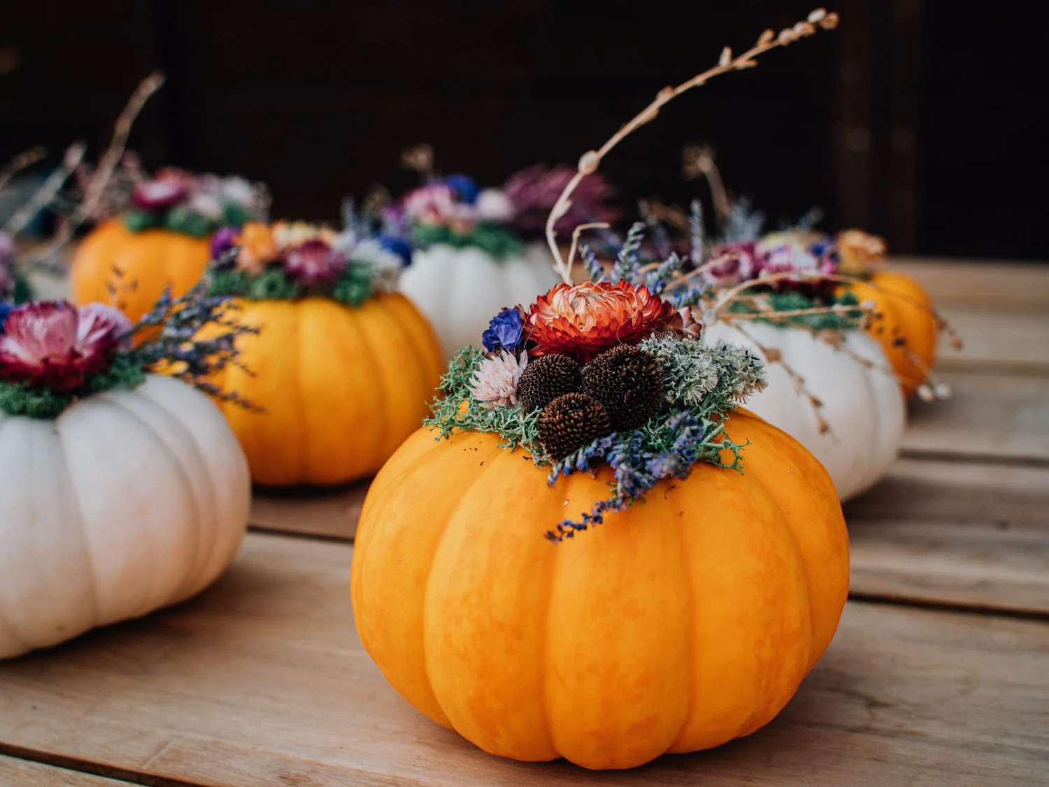 Fall Dried Flower Pumpkin Workshop
