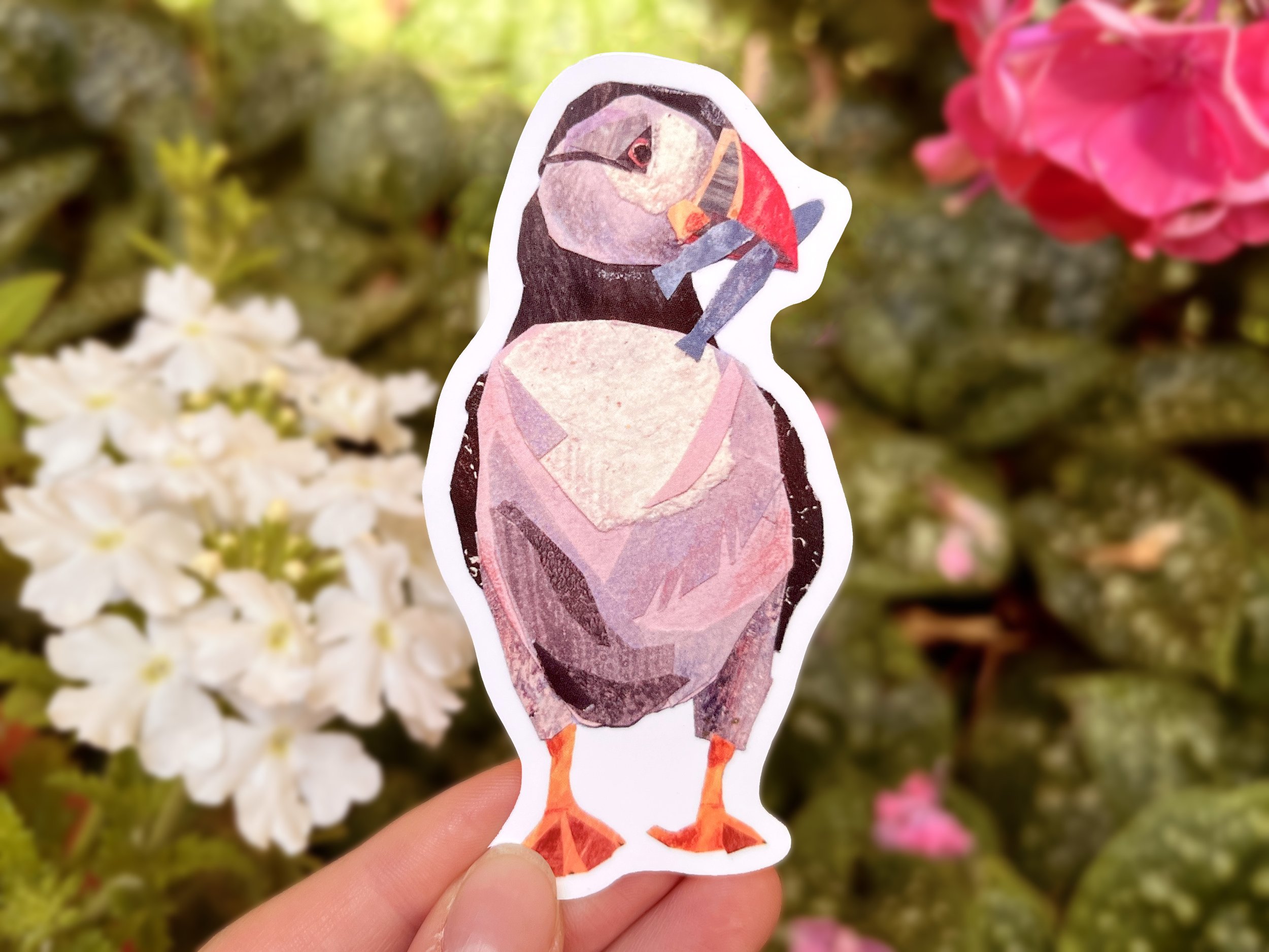 puffin 1.jpg