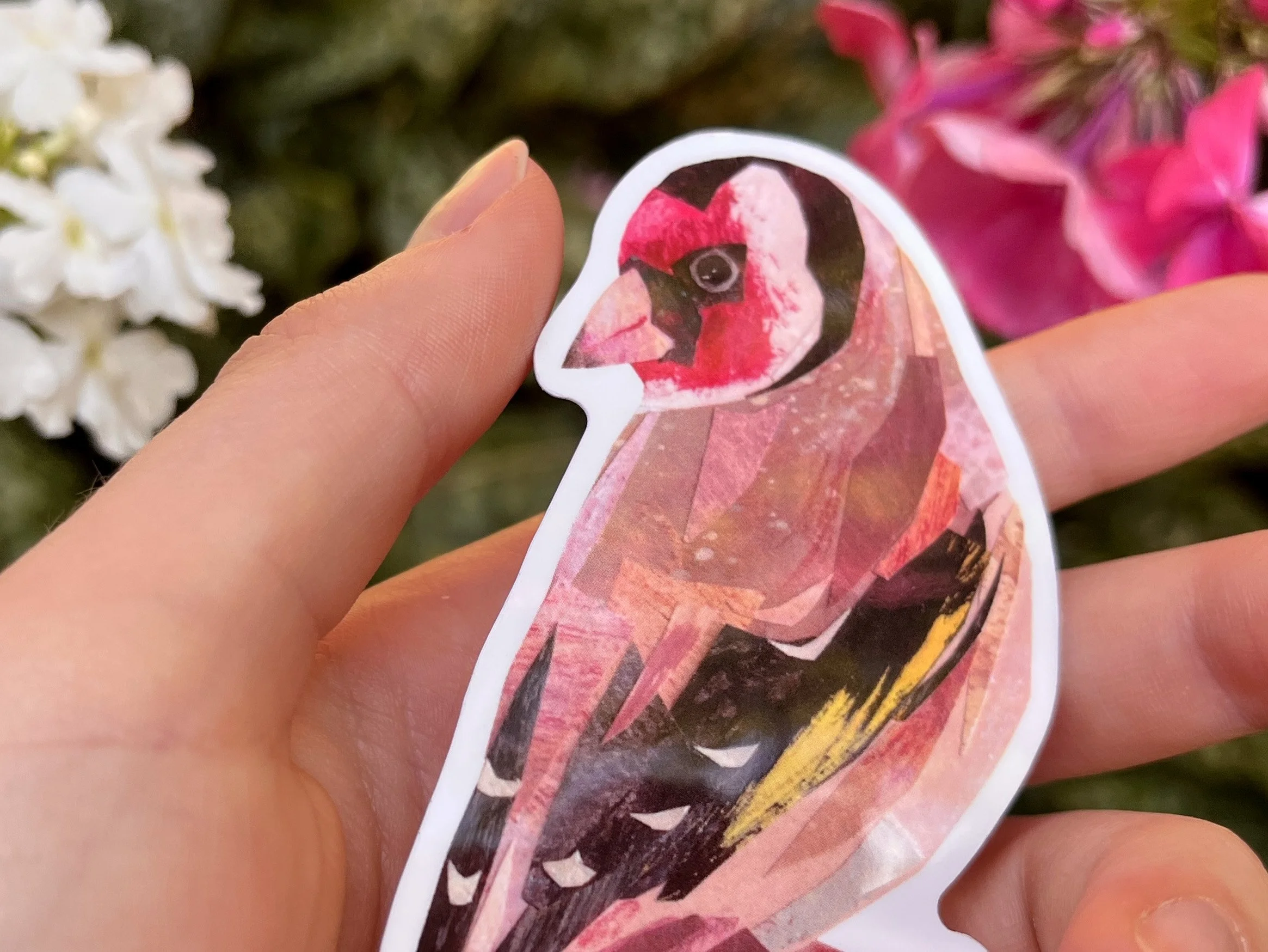 gold finch 2.jpg