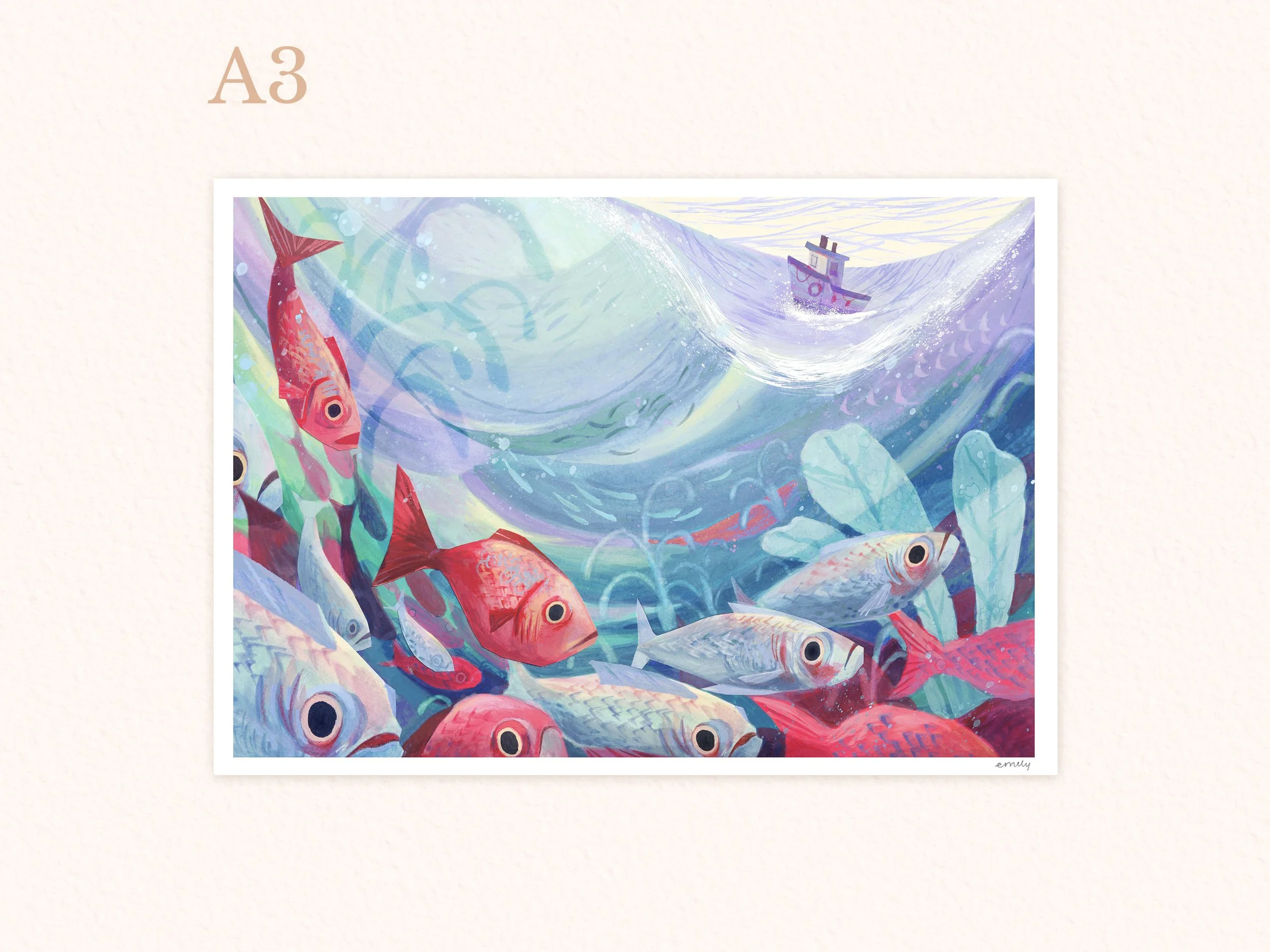 a3 shoal.jpg