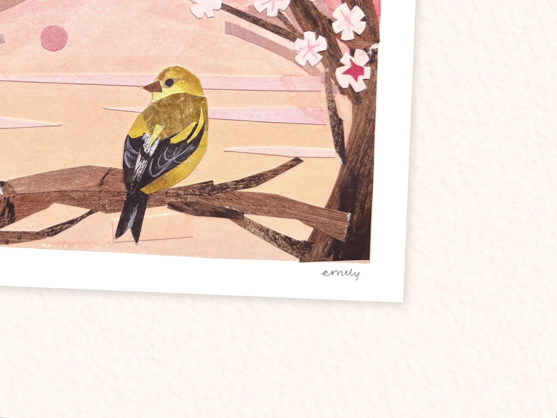 sun set bird close up.jpg