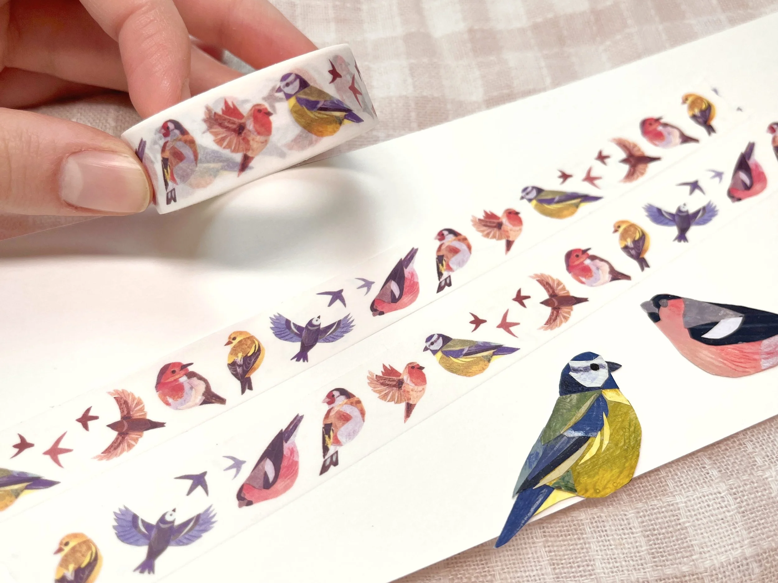 bird washi 2.jpg
