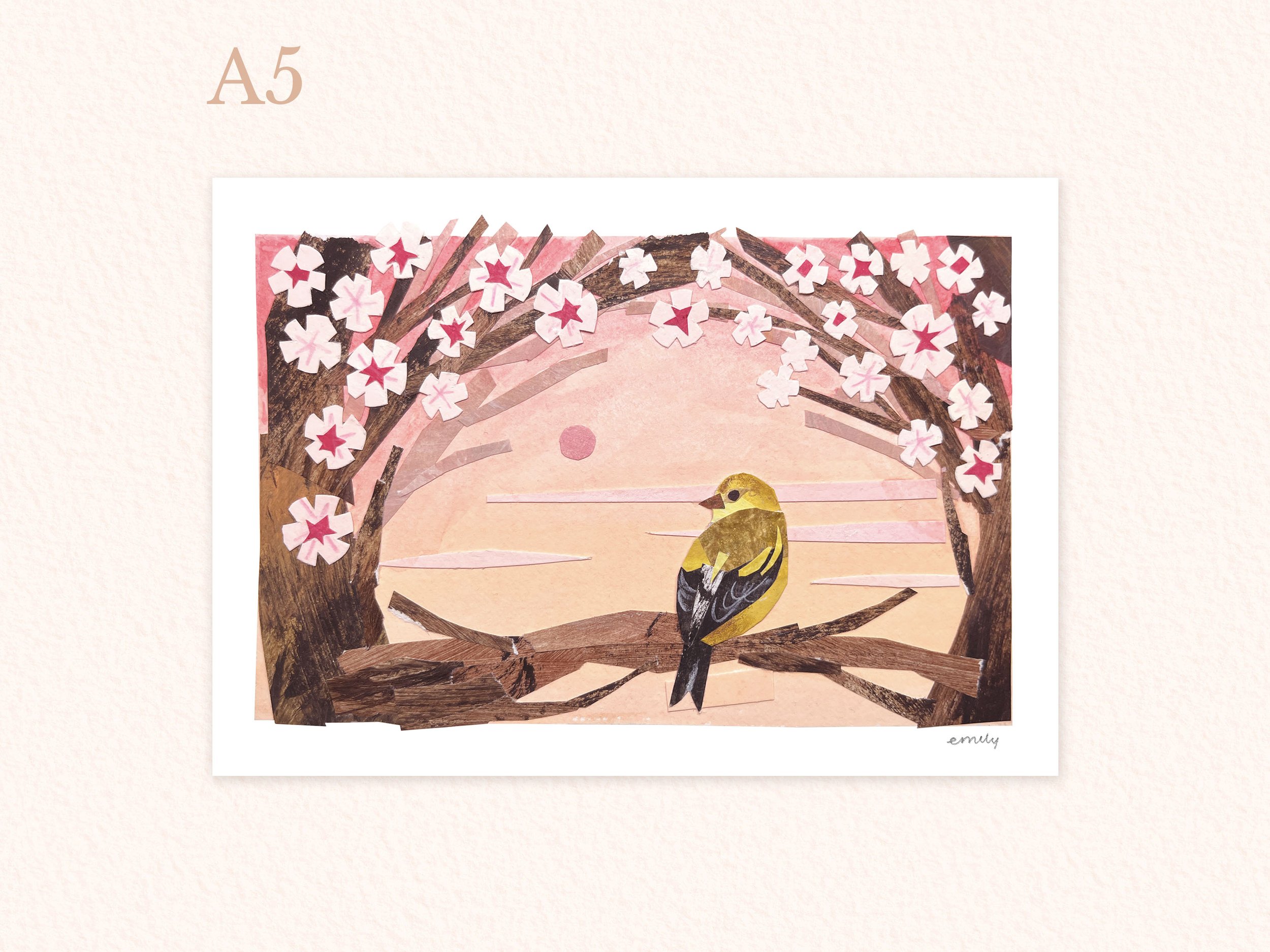 A5 sun set bird.jpg