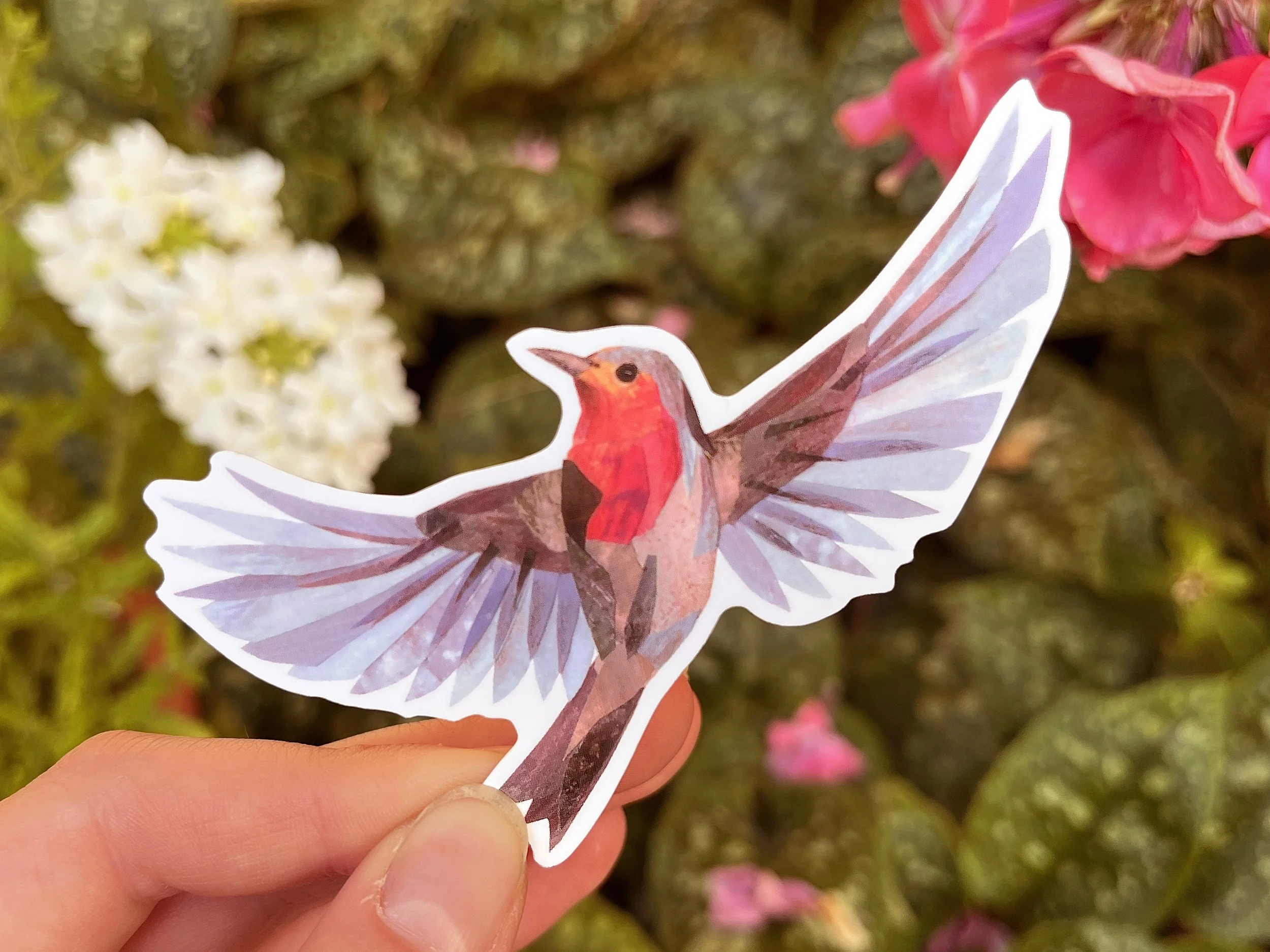 red flying bird 1.jpg