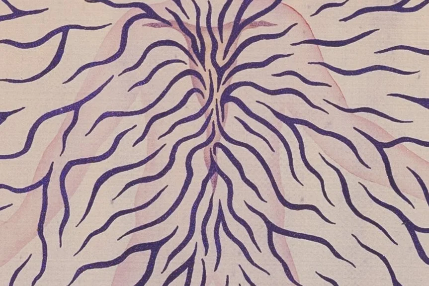 Felipe Baeza in Conversation with Edwidge Danticat + Book Launch Party