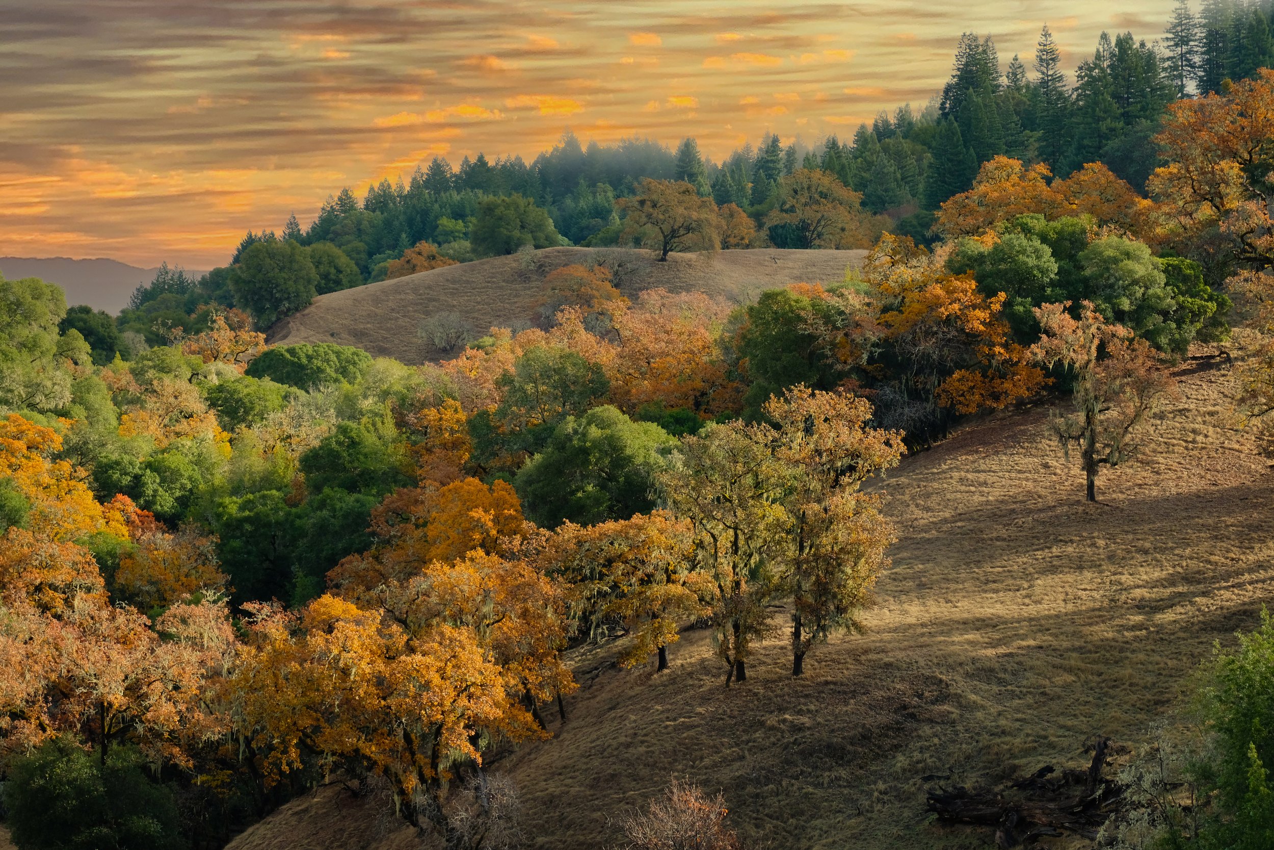 Sonoma County Autumn Hills.jpg