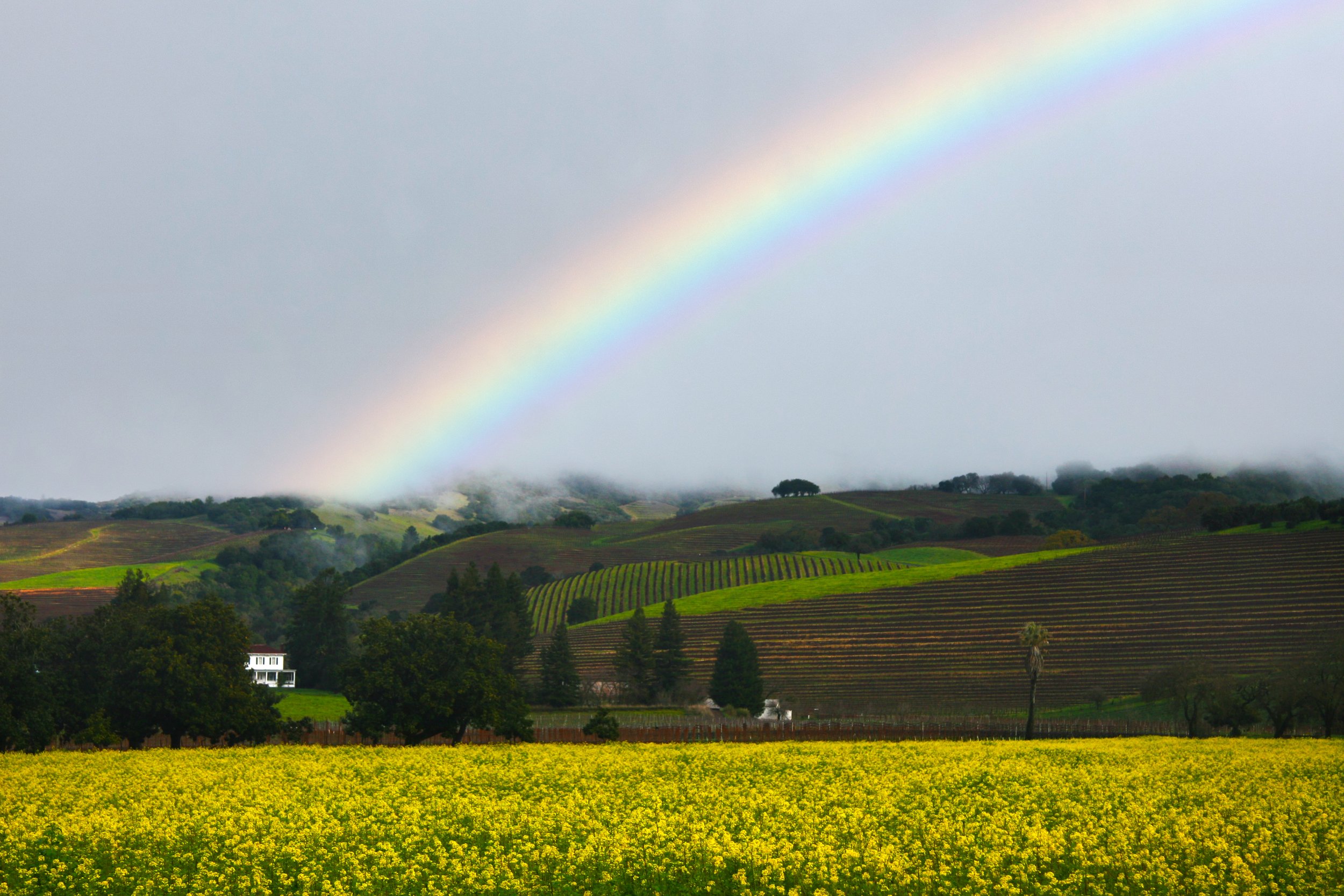 Valley of the Moon Rainbow.jpg