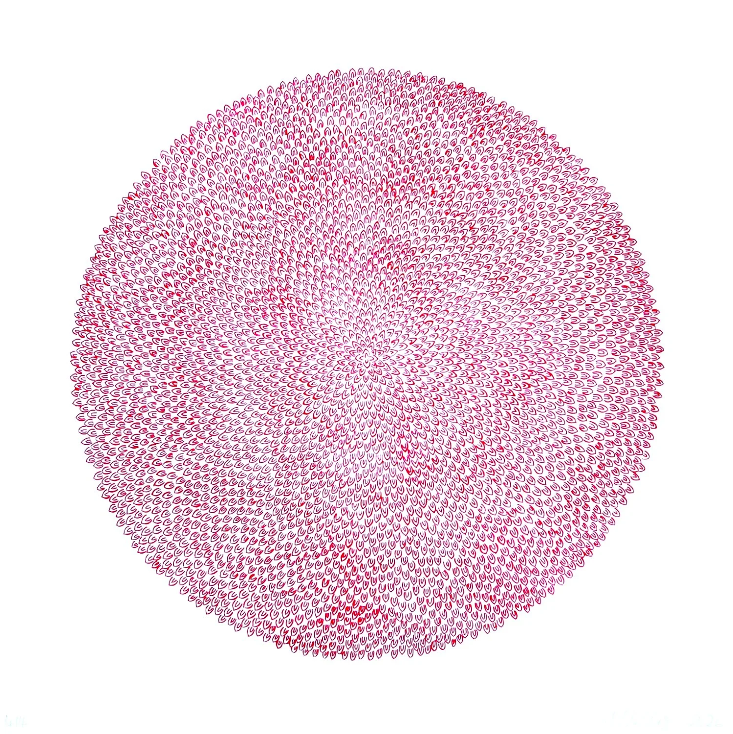 Gefüllte Blüte IV/II, Lithografie, 50 x 50 cm, 2025, Auflage 4